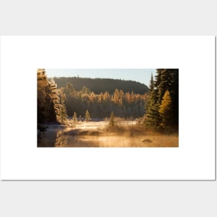 Costello Creek, Algonquin Park Posters and Art